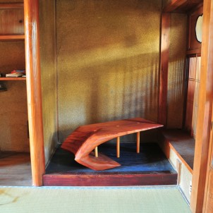Eye Brow, Morgan Robinson, 2008