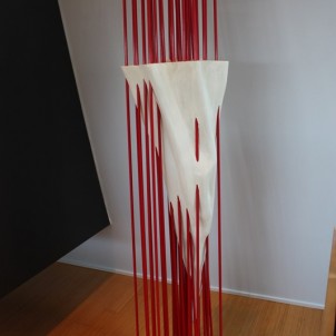 Corner of My Eye, Morgan Robinson, 2013